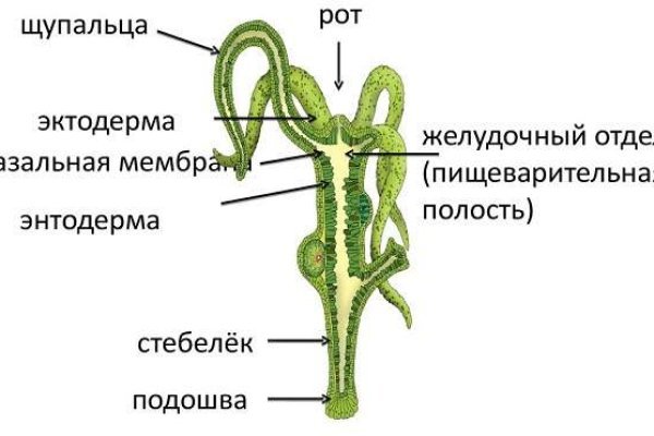 Kraken фейк сайт