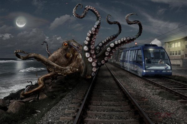 Kraken гидра