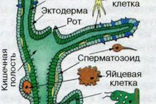 Кракен зарегистрироваться